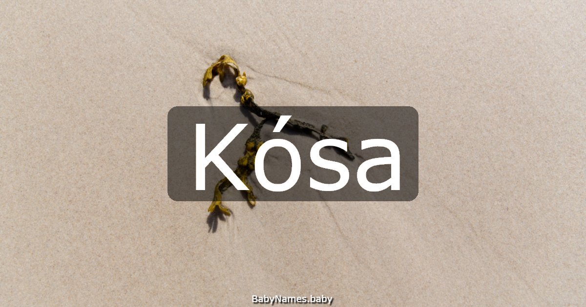 Kósa