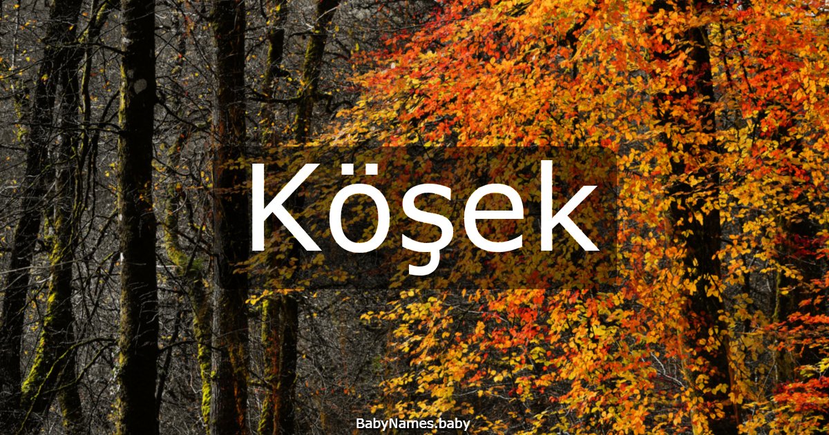 Köşek