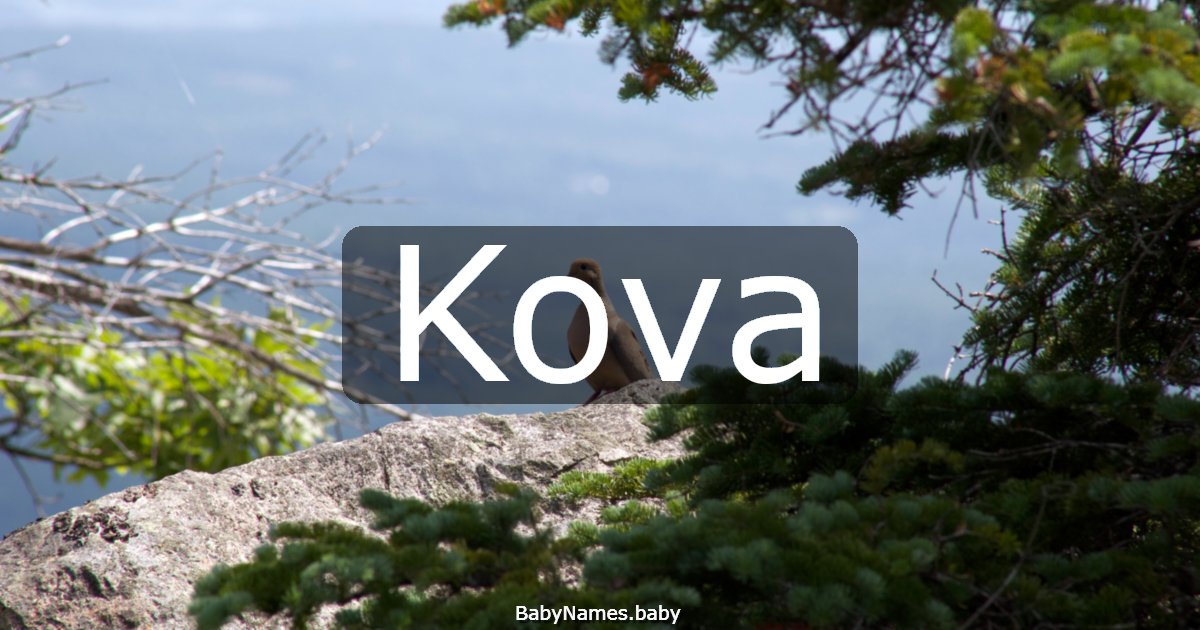 Kova