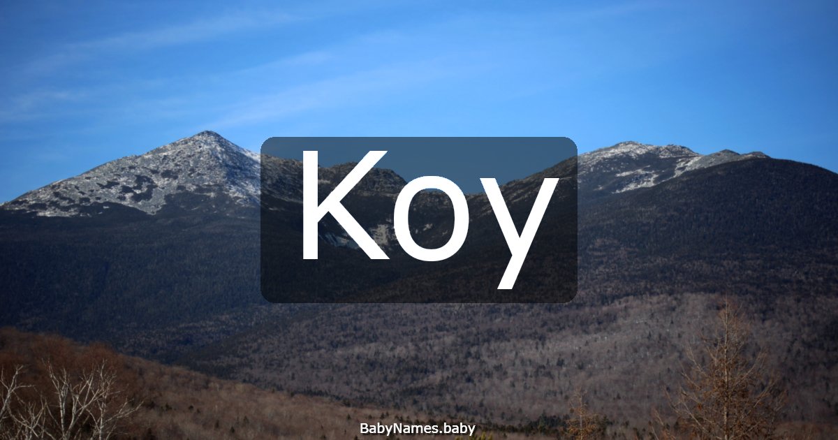 Koy