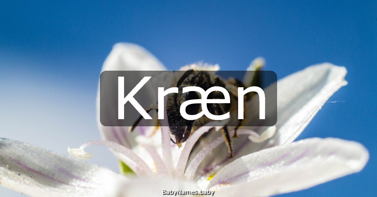 Kræn
