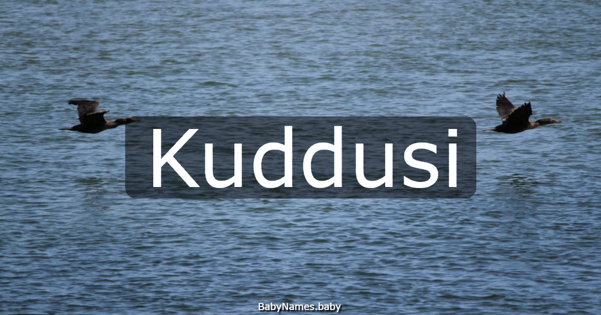 Kuddusi