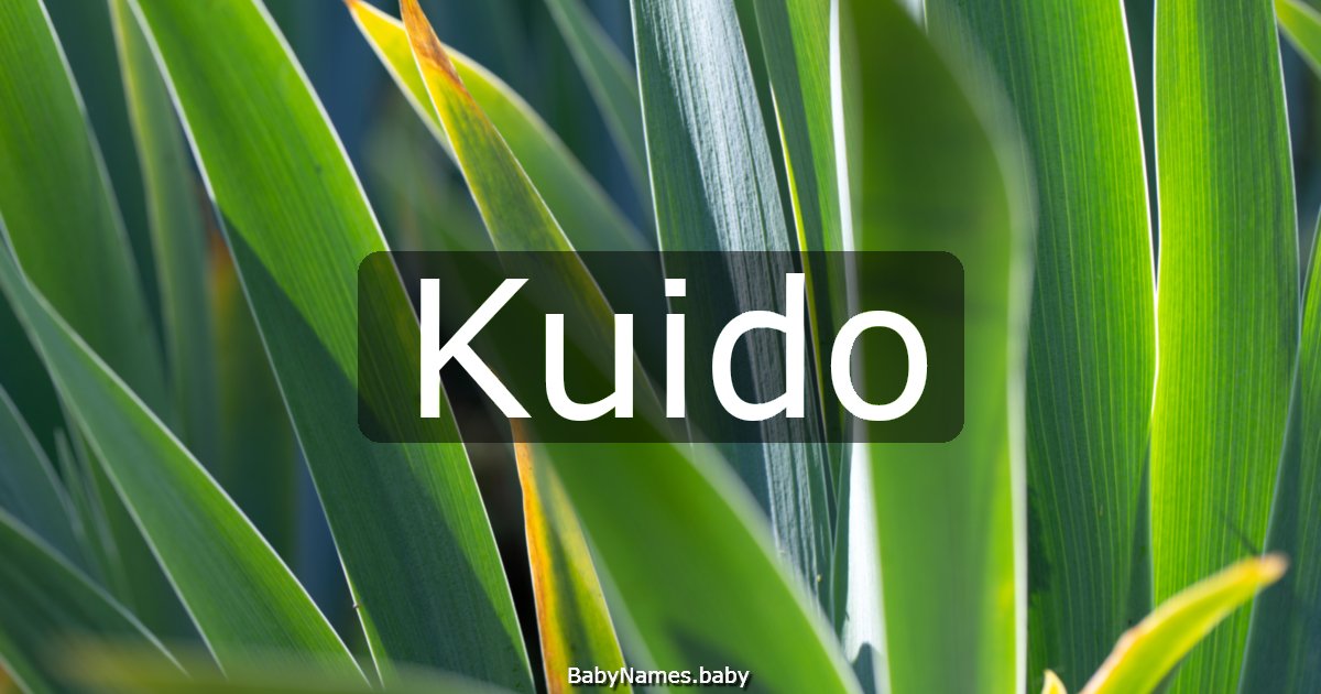 Kuido