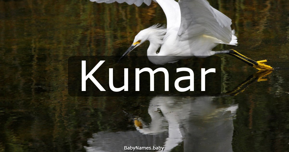 Kumar