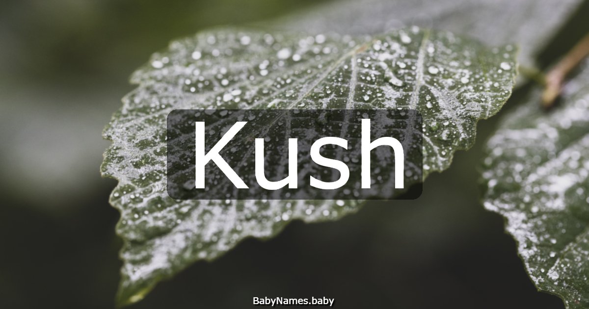 Kush