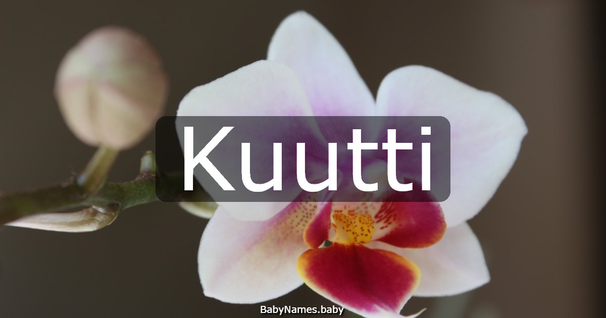 Kuutti