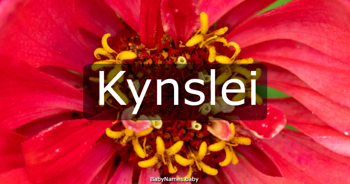 Kynslei