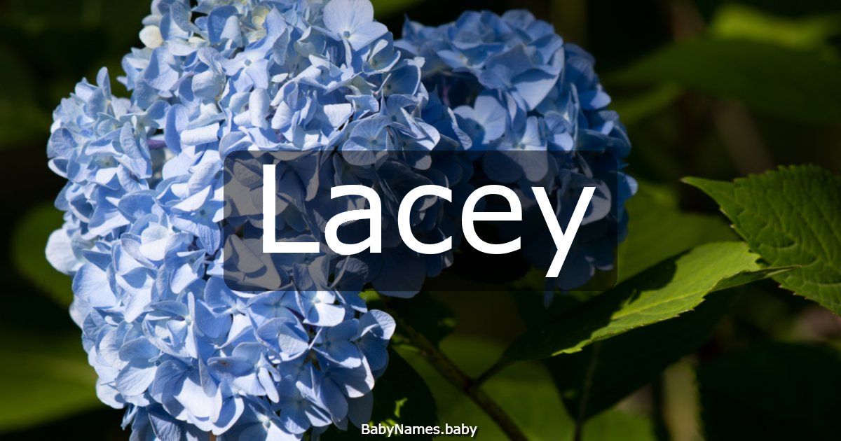 Lacey
