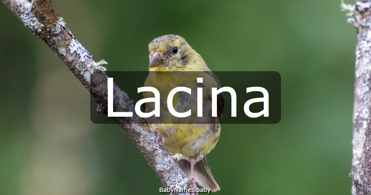 Lacina
