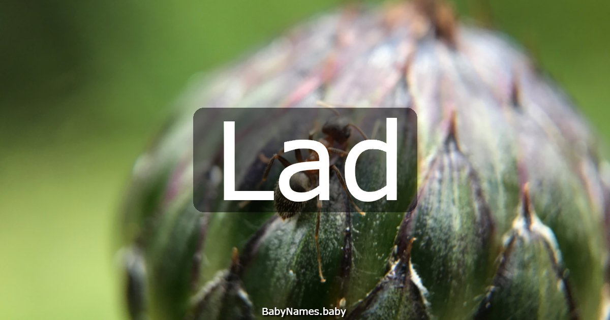 Lad