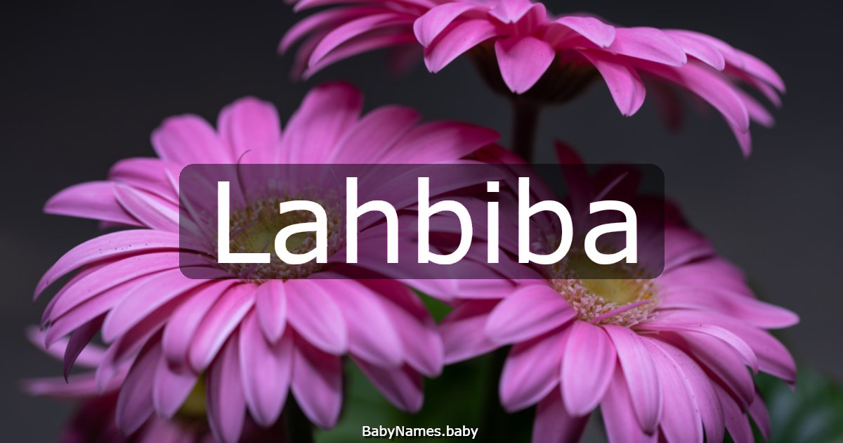 Lahbiba