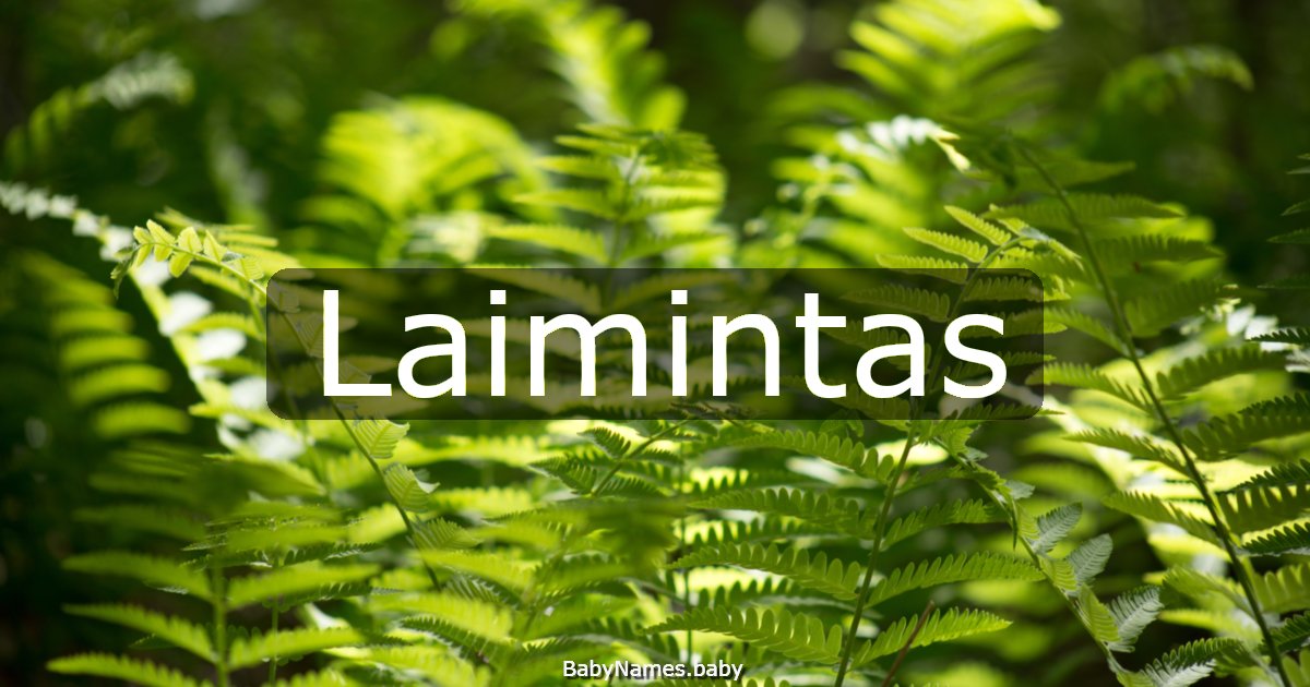 Laimintas