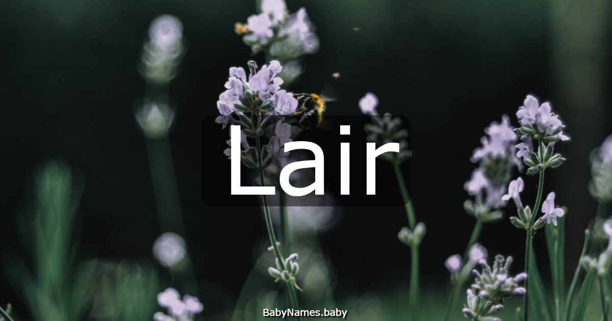Lair