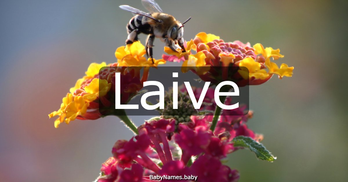 Laive