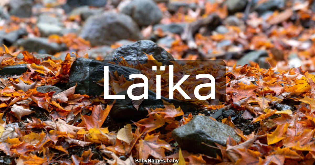 Laïka