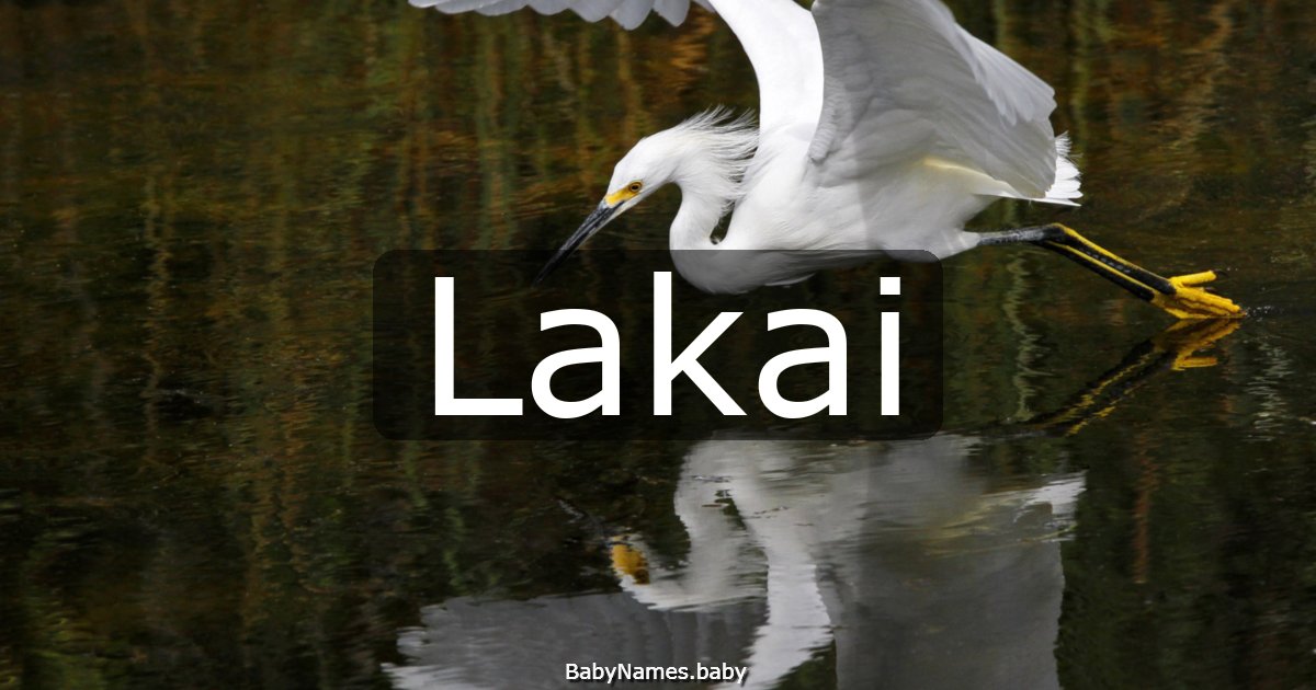 Lakai