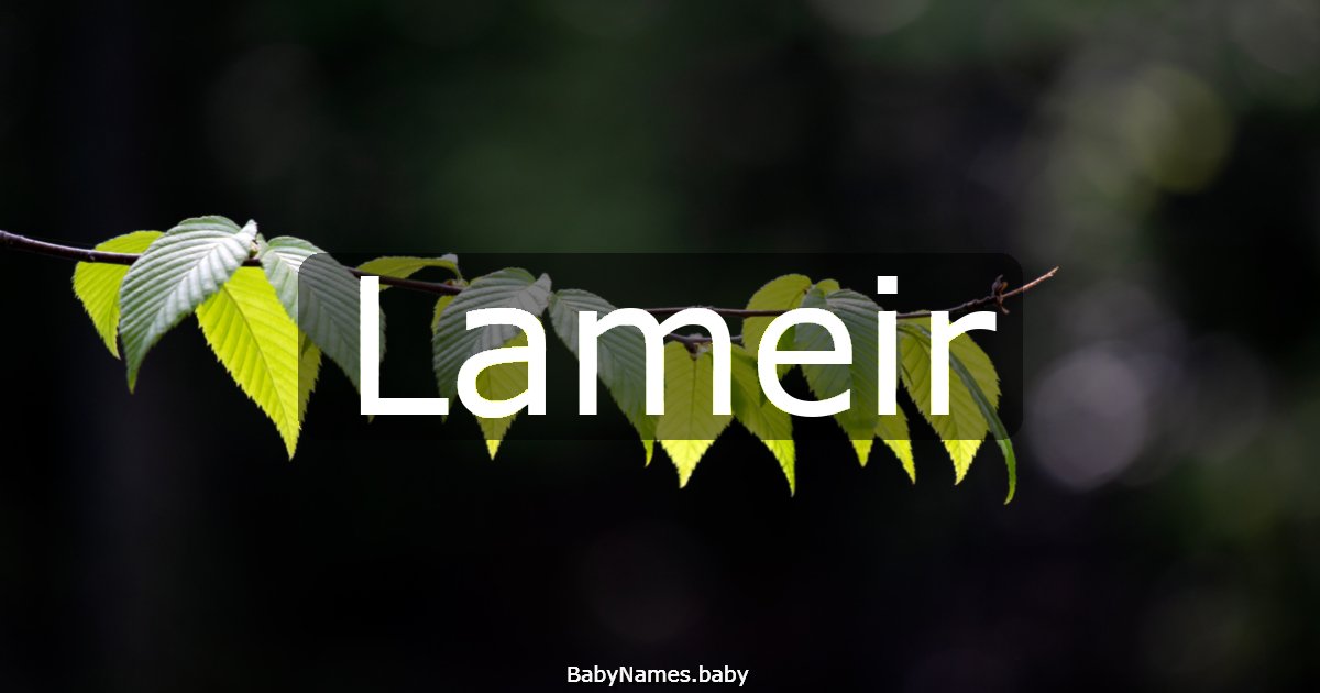 Lameir