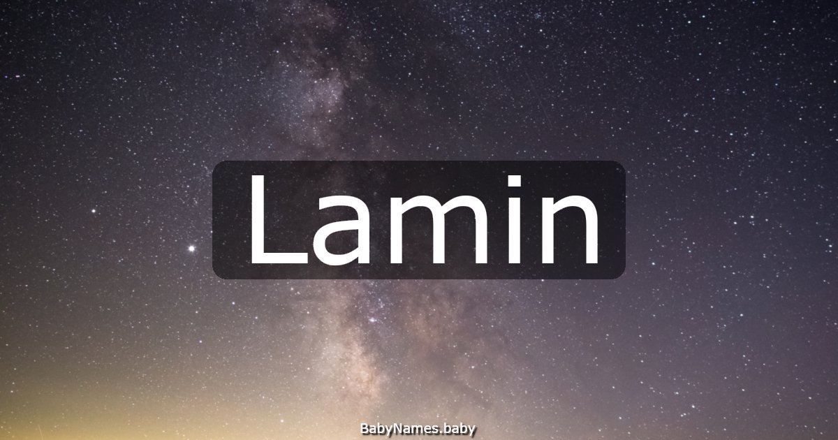 Lamin