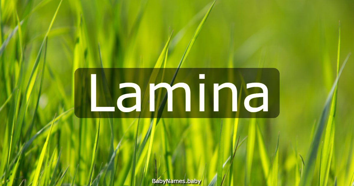 Lamina