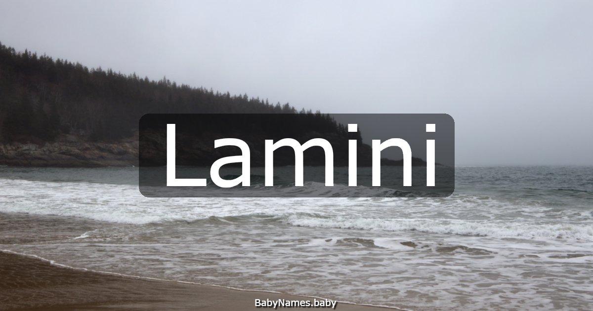 Lamini