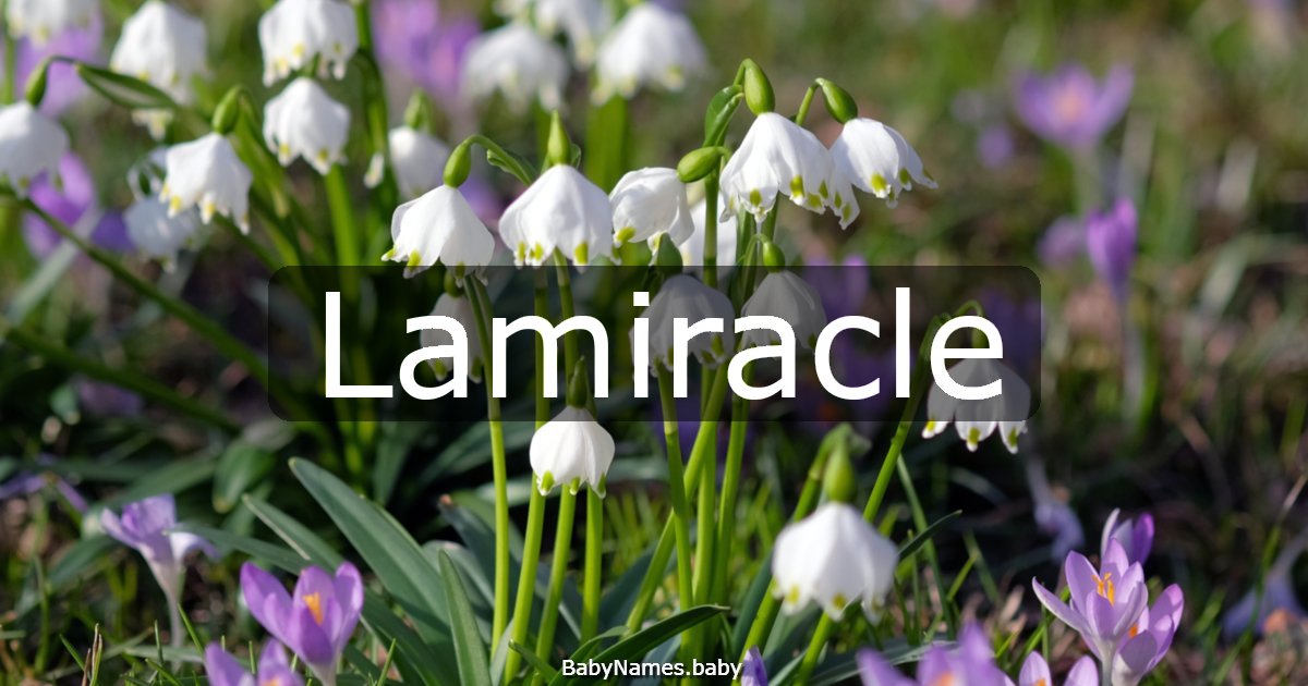 Lamiracle