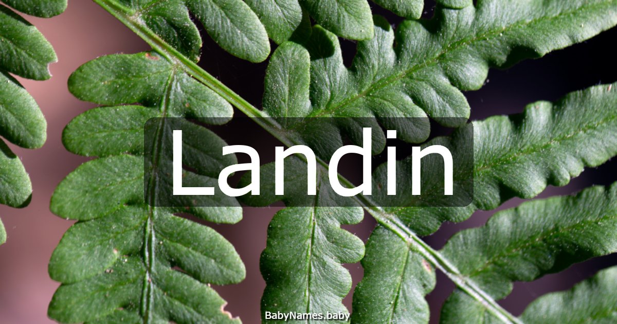 Landin