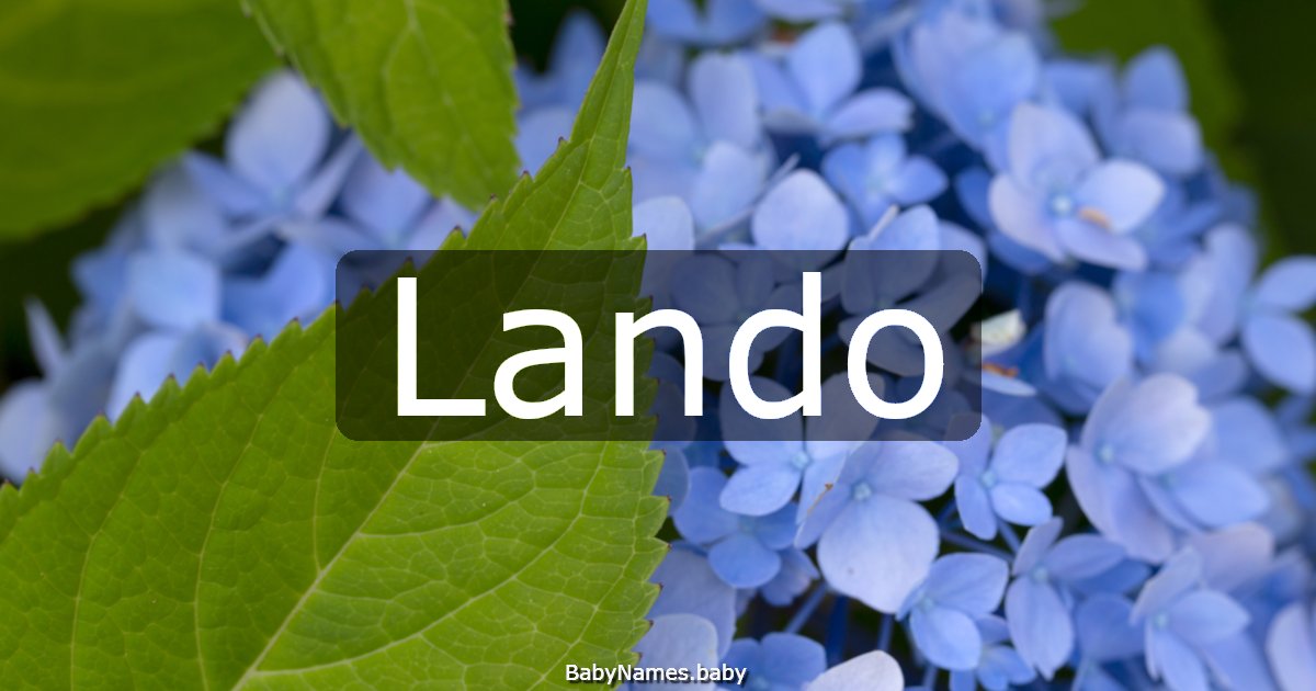 Lando