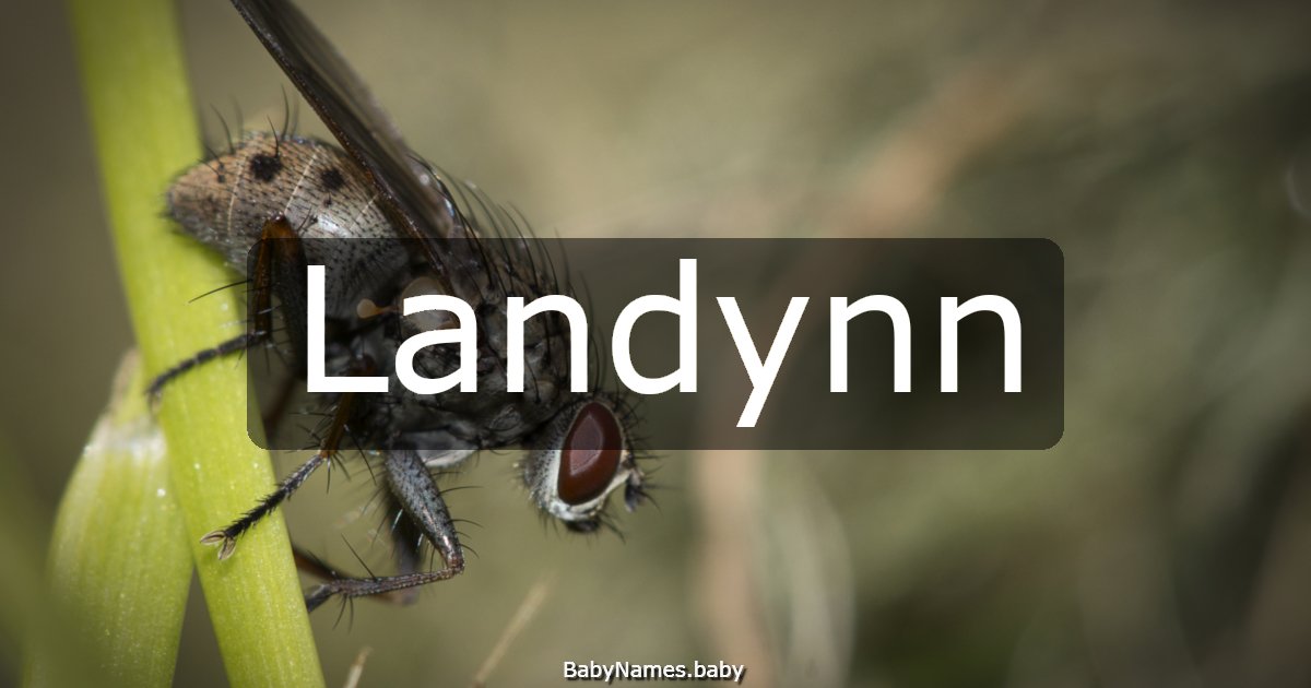 Landynn