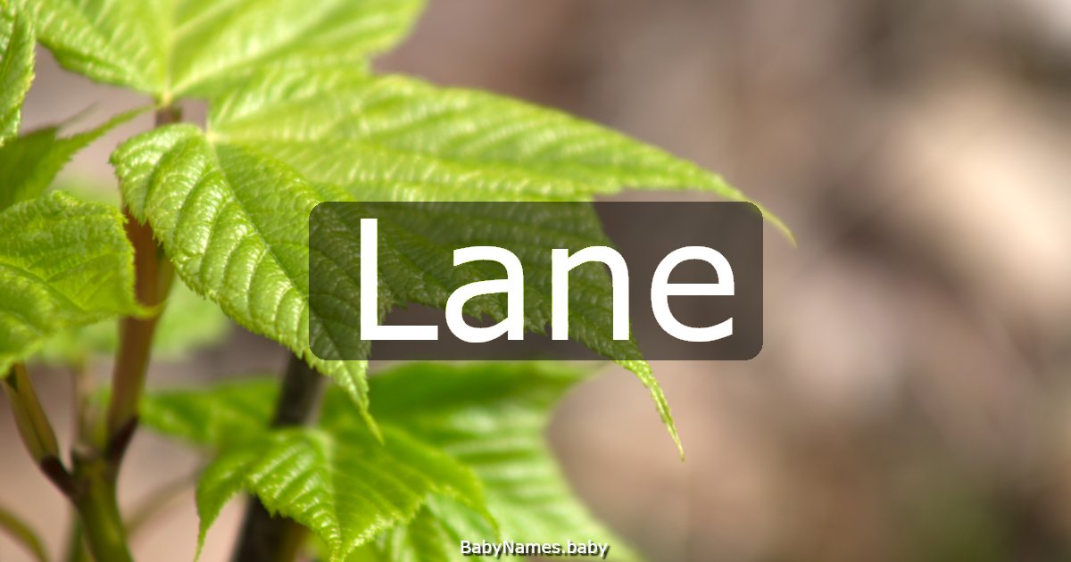 Lane