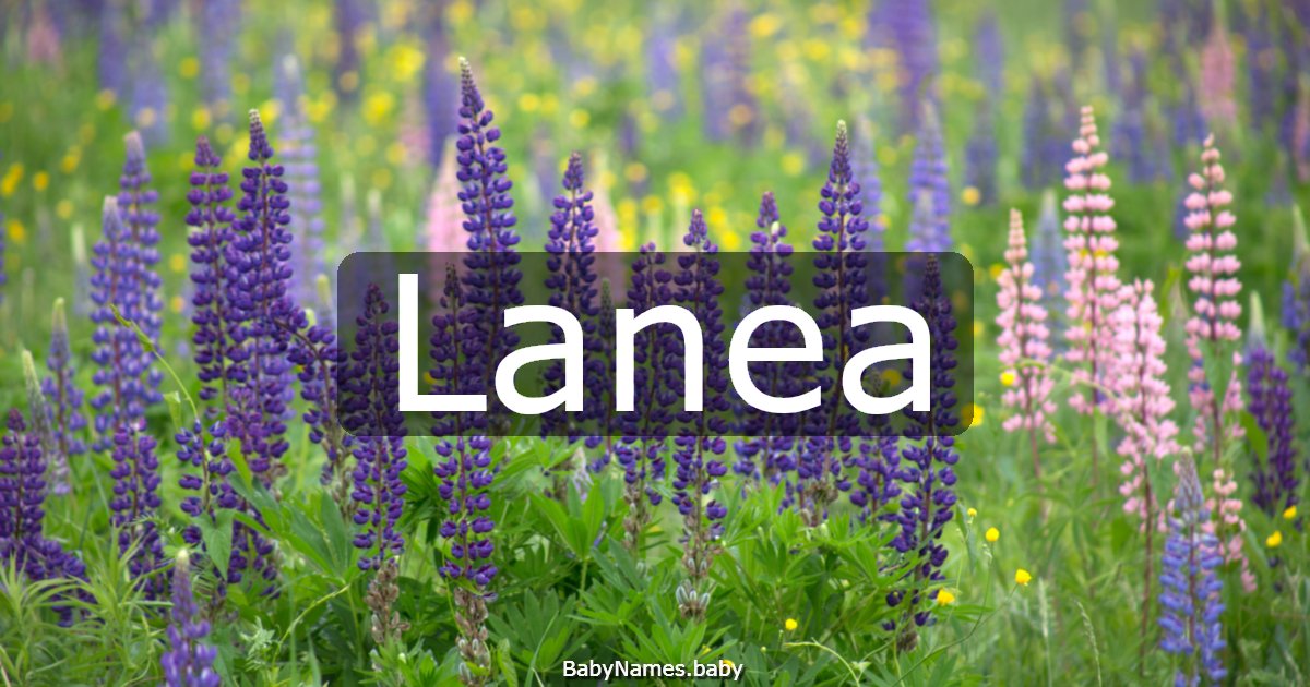 Lanea