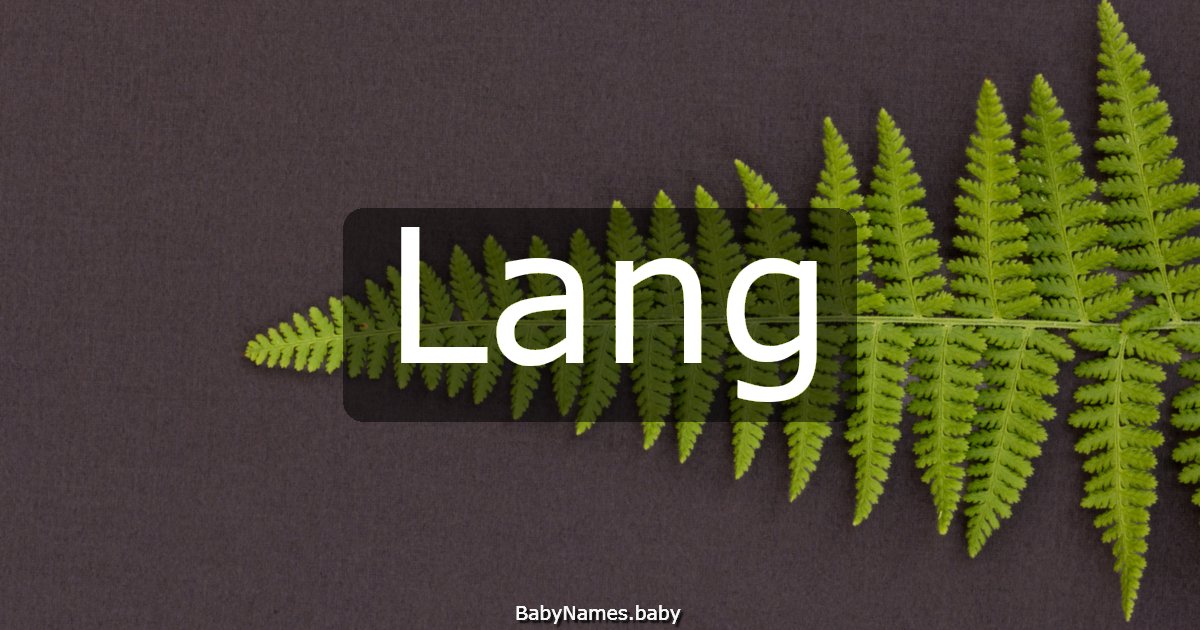 Lang