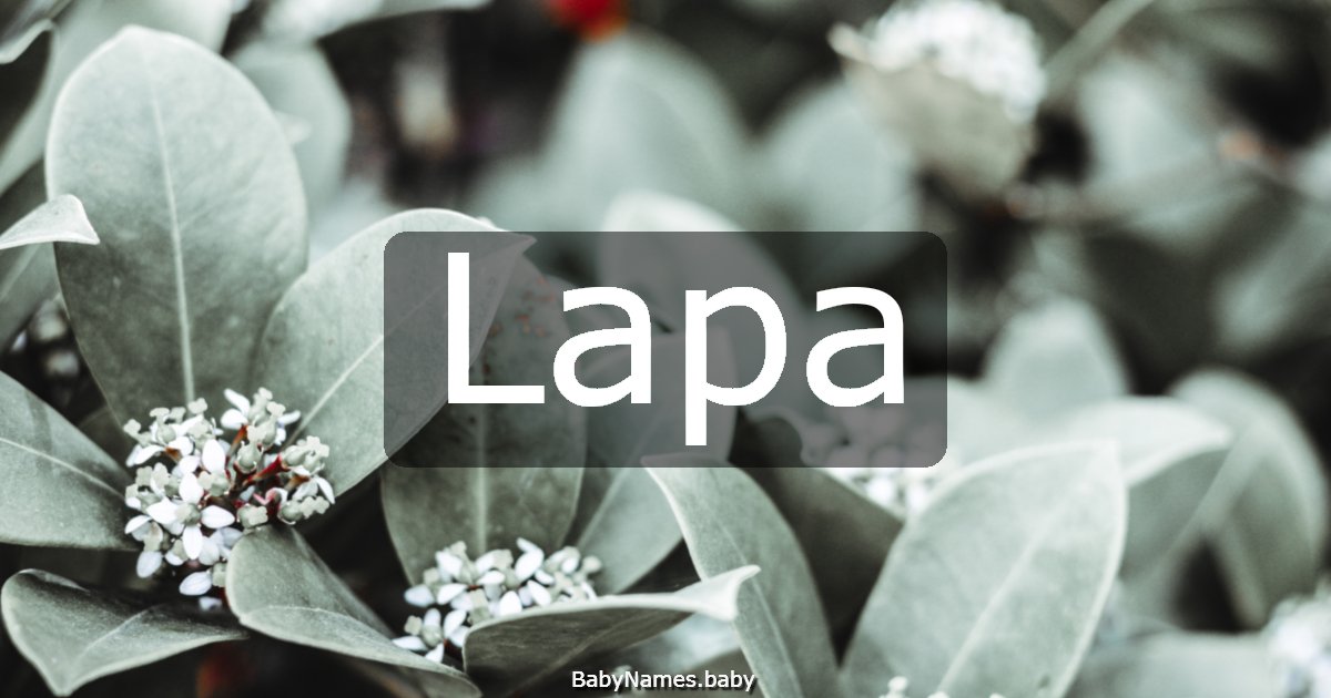 Lapa