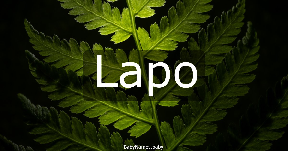 Lapo