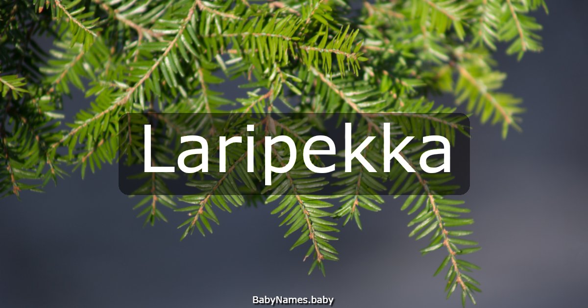 Laripekka