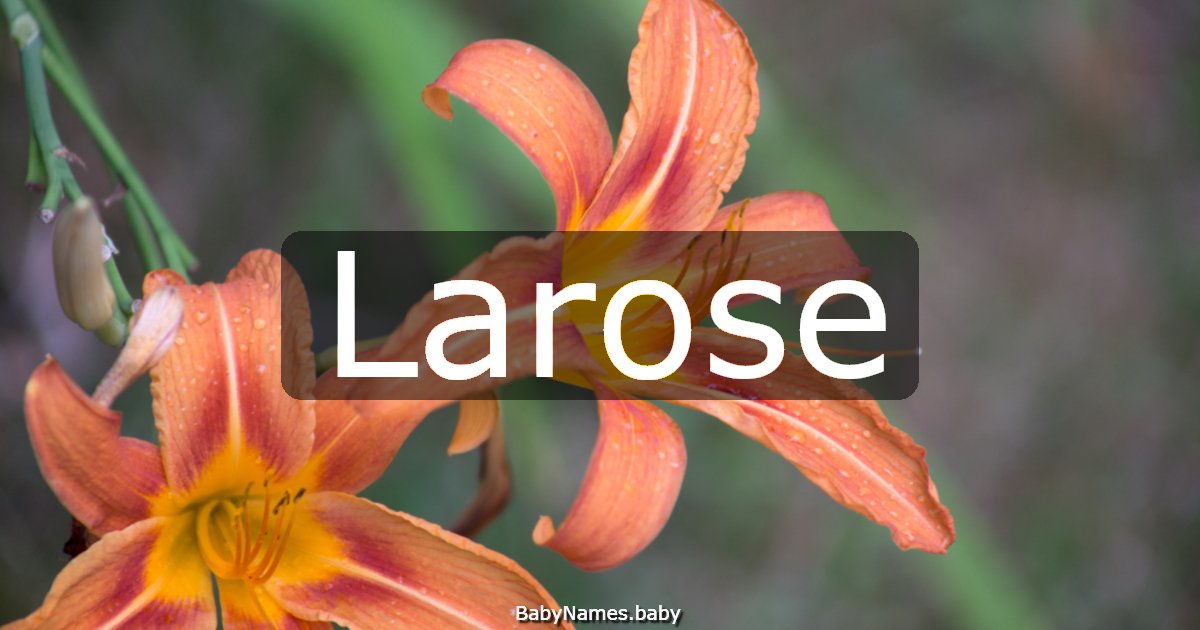 Larose