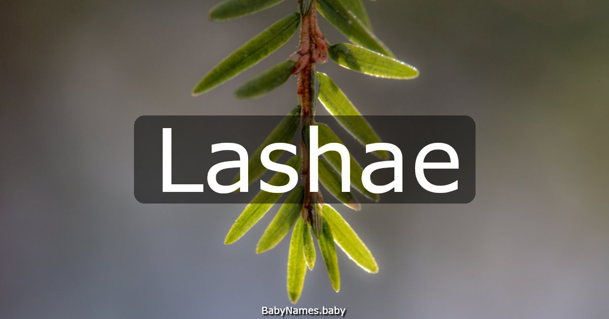 Lashae