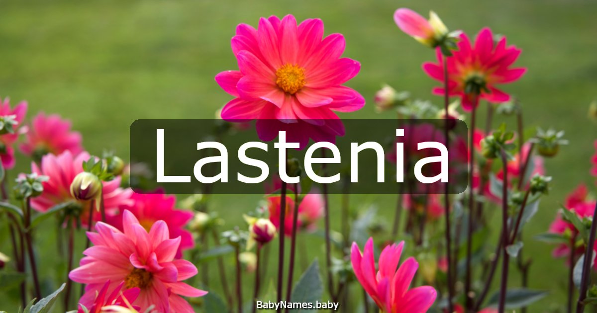 Lastenia