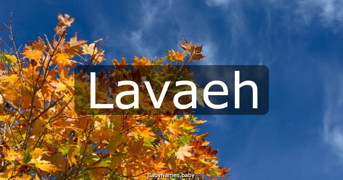 Lavaeh