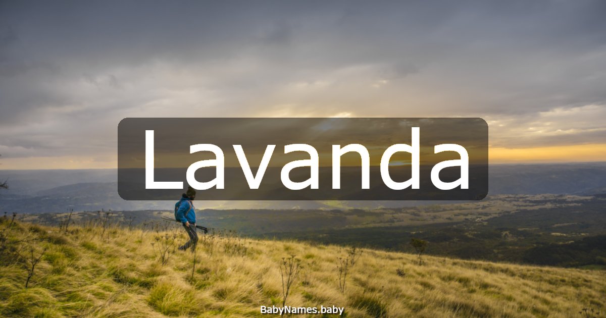 Lavanda