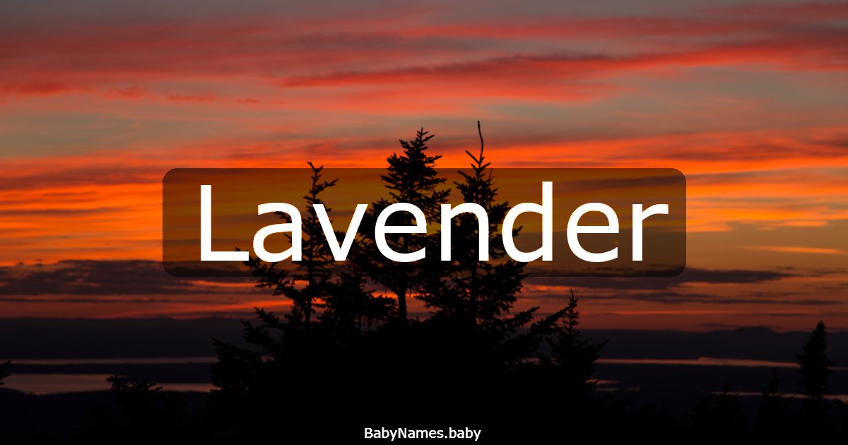Lavender