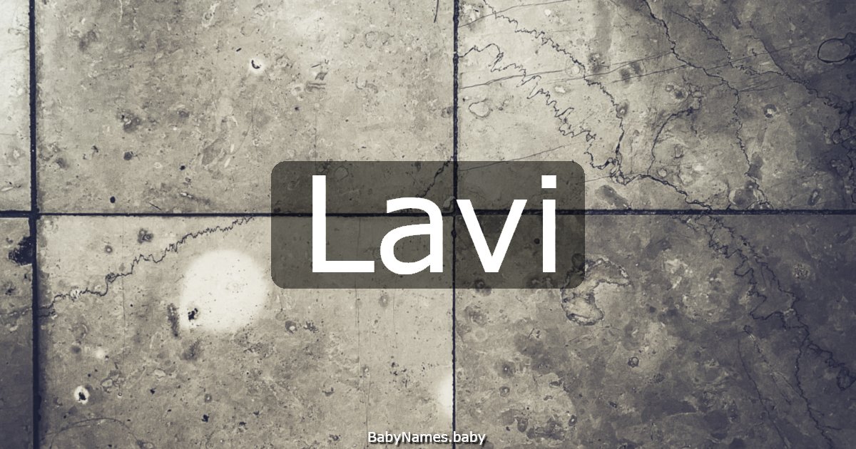 Lavi