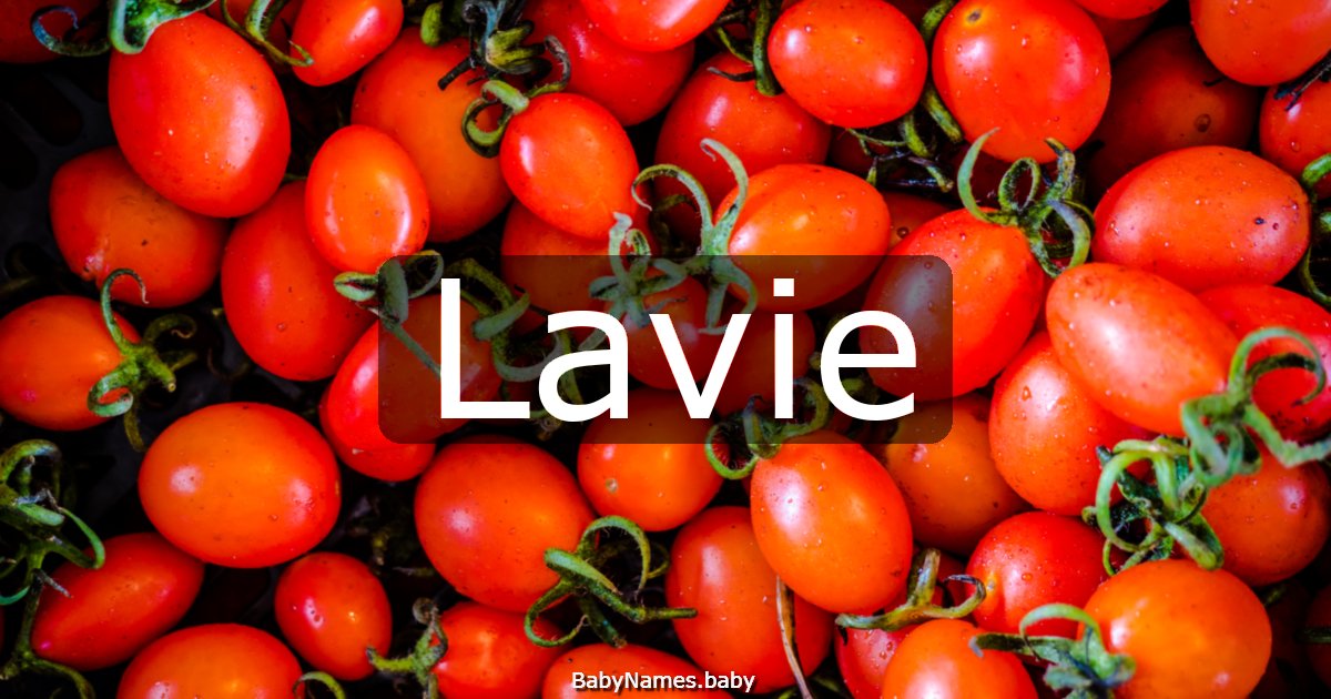 Lavie