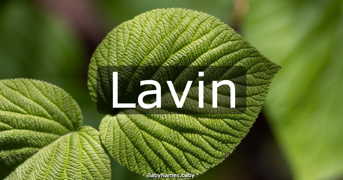 Lavin