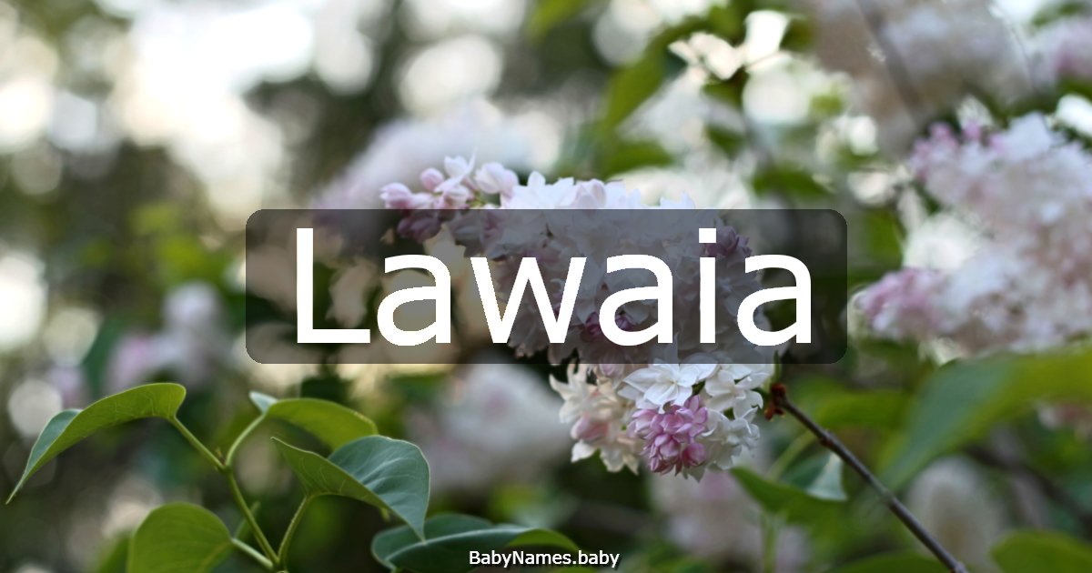 Lawaia
