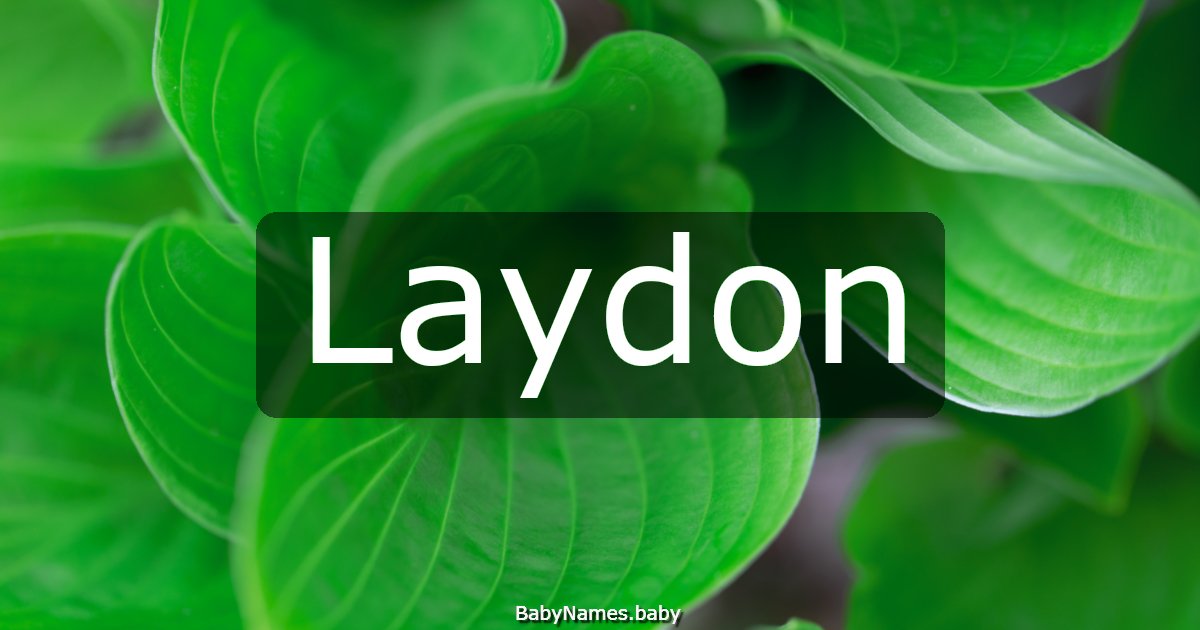 Laydon