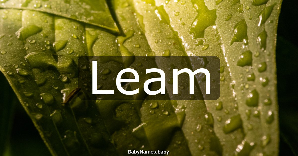 Leam