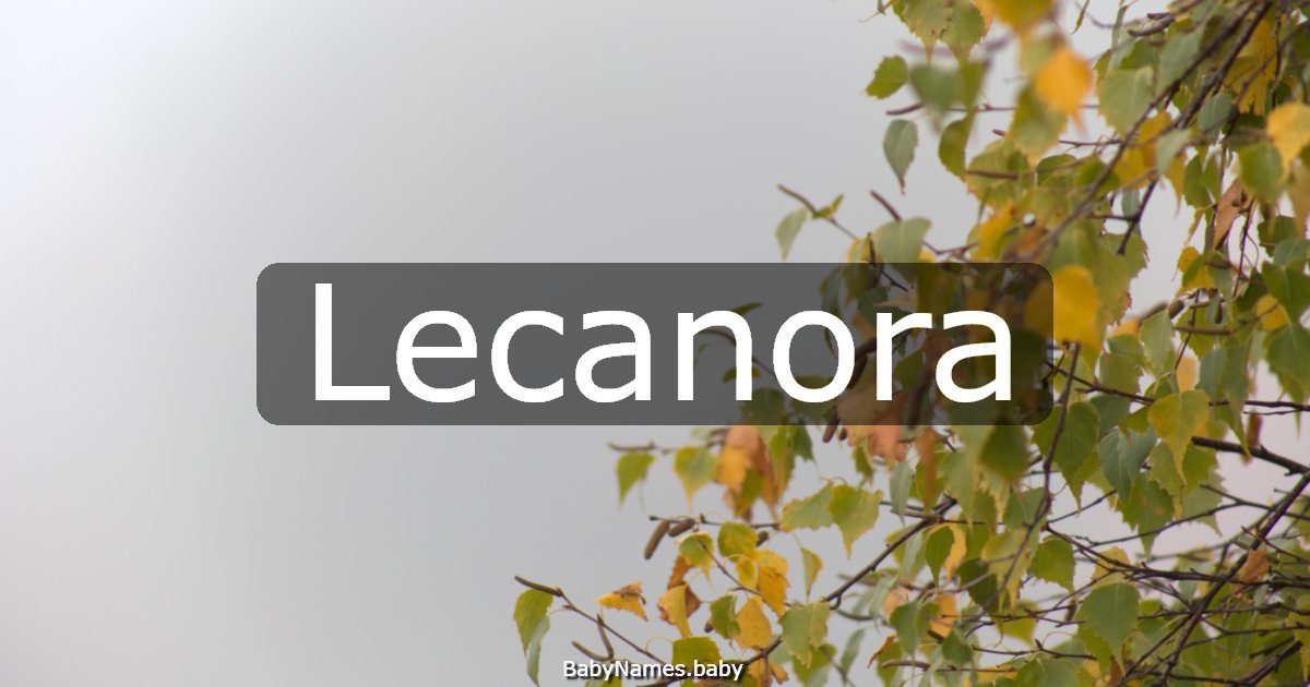 Lecanora