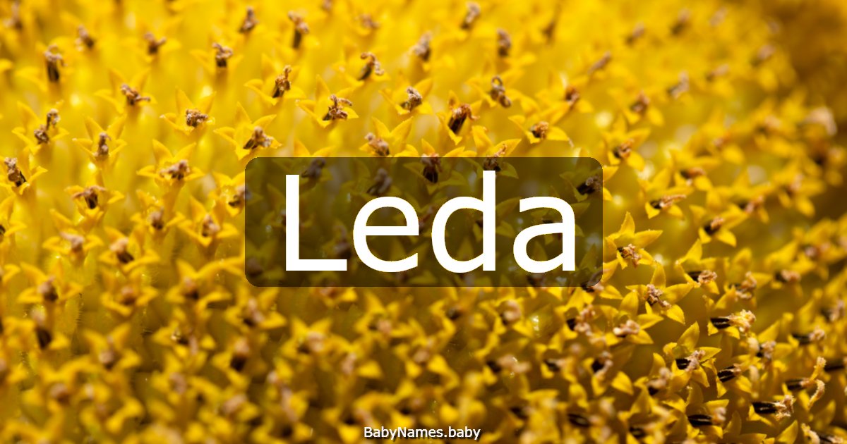 Leda