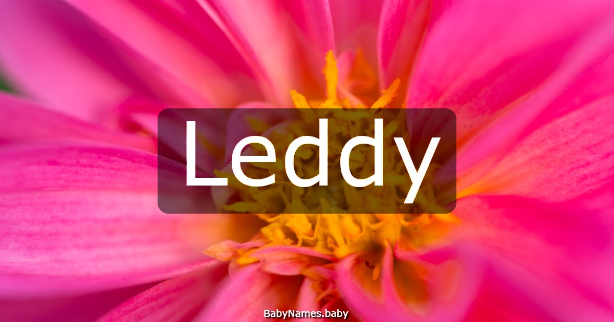 Leddy