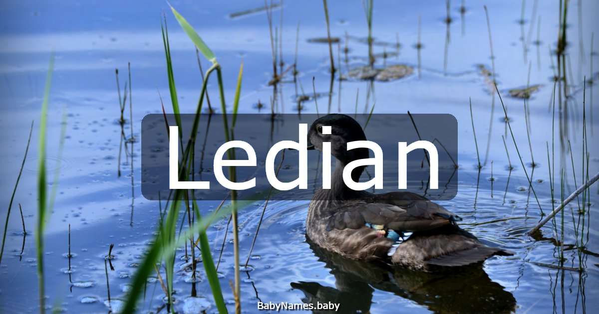 Ledian